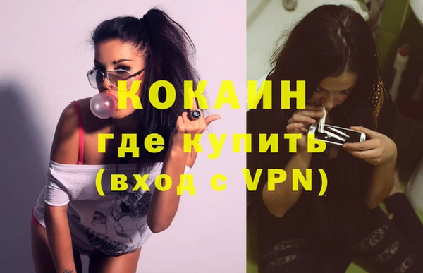 индика Краснослободск