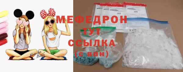 индика Краснослободск