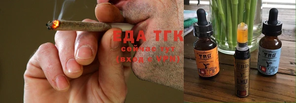 индика Краснослободск
