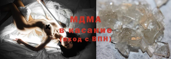 индика Краснослободск