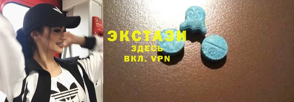 индика Краснослободск