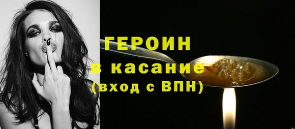 индика Краснослободск