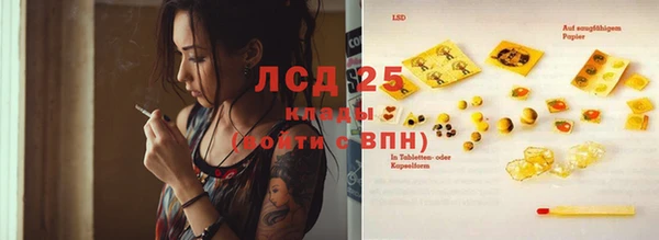 индика Краснослободск
