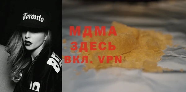 индика Краснослободск