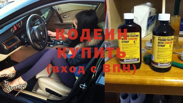 индика Краснослободск