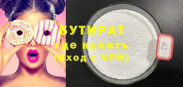 индика Краснослободск