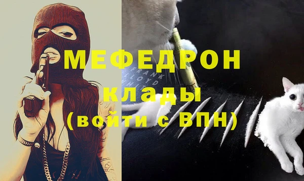 индика Краснослободск