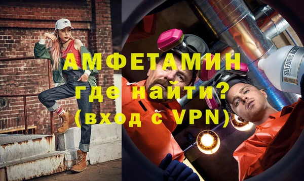 индика Краснослободск