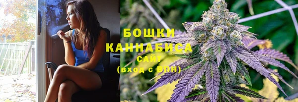 индика Краснослободск