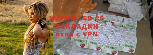индика Краснослободск