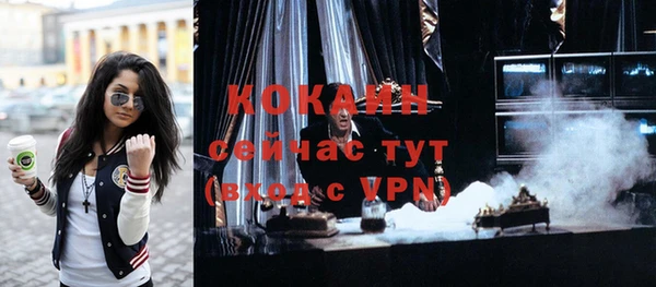 индика Краснослободск