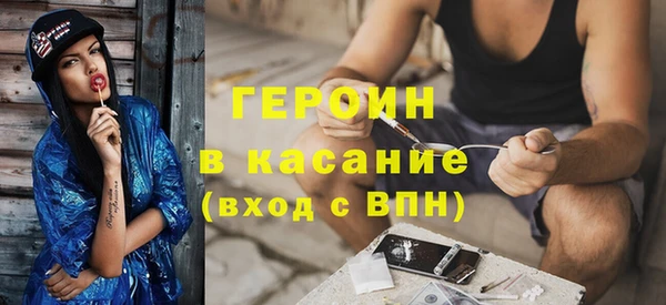 индика Краснослободск