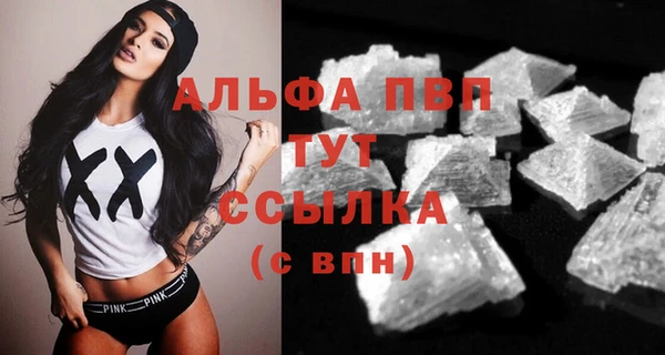 индика Краснослободск