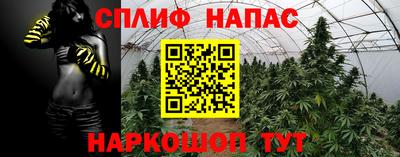стаф Изобильный