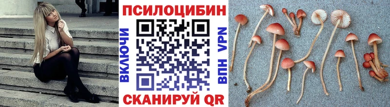 Галлюциногенные грибы прущие грибы  Коломна 