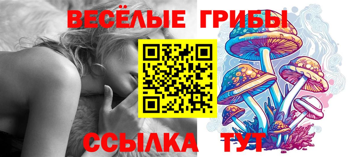 Псилоцибиновые грибы прущие грибы Коломна