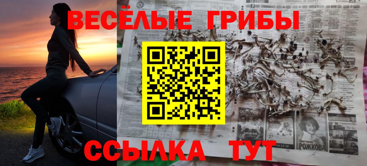 Коломна  Псилоцибиновые грибы Psilocybine cubensis  Вход с VPN  Галлюциногенные грибы GOLDEN TEACHER 